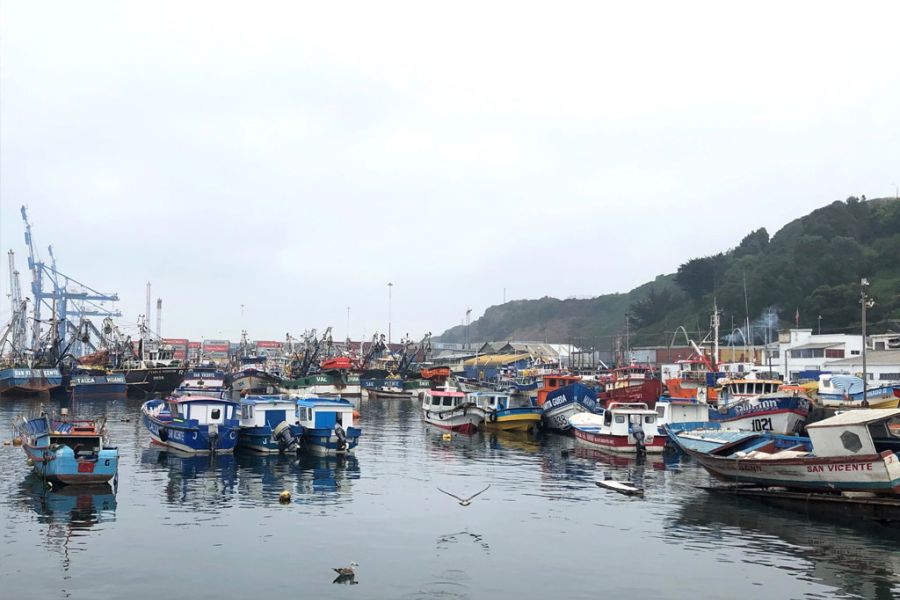 La tecnológica española Satlink, autorizada a suministrar su sistema de localización de última generación a la flota pesquera chilena